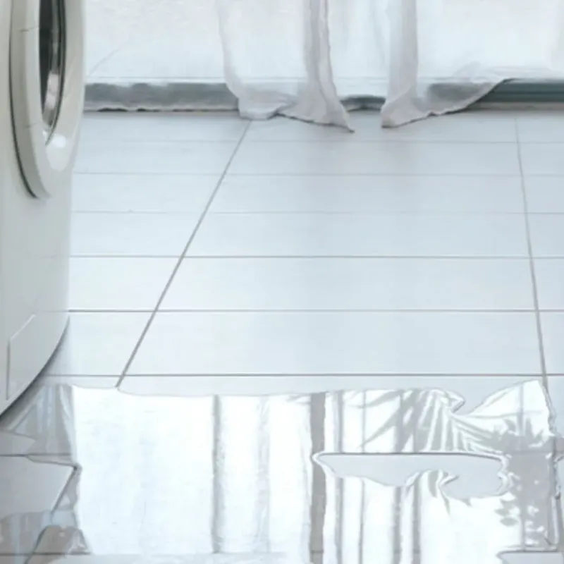 Appliance Leak Cleanup in Pueblito del Rio, PR