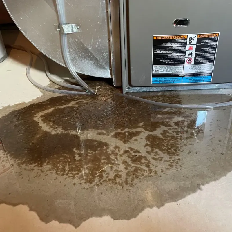 Pipe Burst and Leak Restoration in Pueblito del Rio, PR