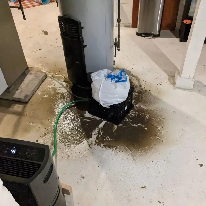 Sewage Backup Cleanup Service in Pueblito del Rio, PR